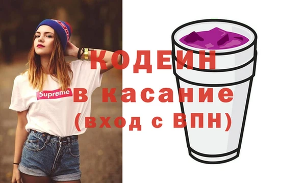 индика Верея